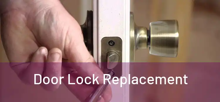  Door Lock Replacement 